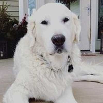 Winston